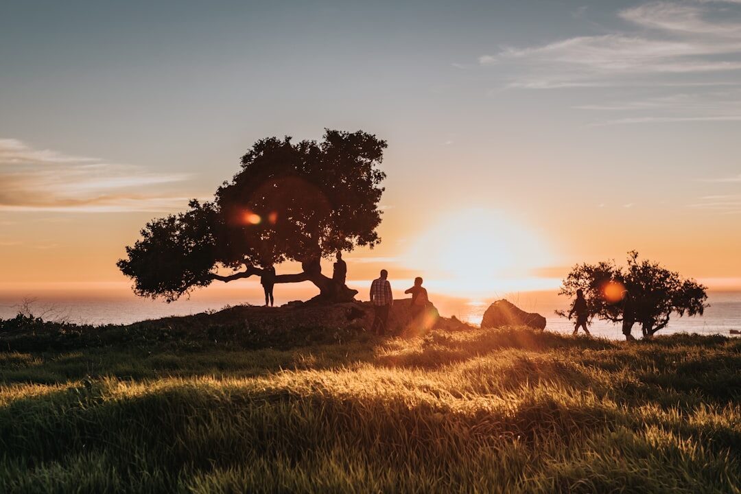 Sunset polo match on a coastal field with spectators